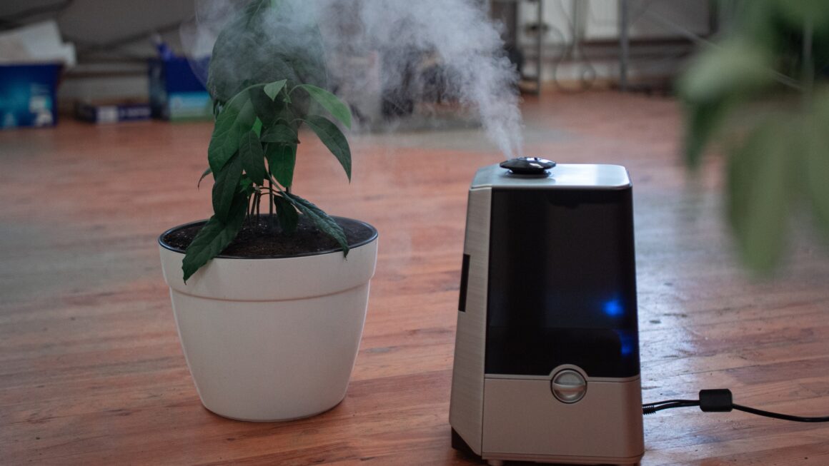How Personal Air Purifier Necklaces Are Becoming a Travel Essential for Urban Commuters