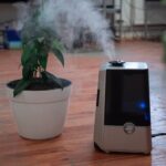 How Personal Air Purifier Necklaces Are Becoming a Travel Essential for Urban Commuters