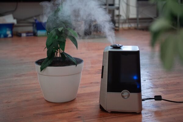 How Personal Air Purifier Necklaces Are Becoming a Travel Essential for Urban Commuters